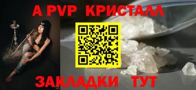 стаф Донской
