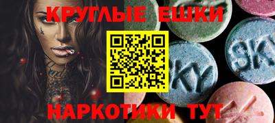 стаф Донской