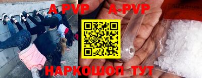 стаф Донской